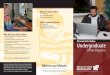 Missouri State Online Undergraduate Degree Program Brochure