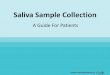 Saliva Sample Collection
