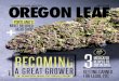 Oregon Leaf — January 2015