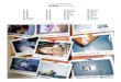 a day BULLETIN LIFE issue 43