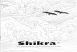 Shikra Issue 6 (English)