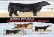 OHL Felt Farms Annual Bull Sale Catalog