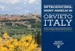 Semester in Orvieto, Italy Brochure