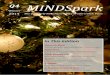 Mindspark Q4 2014