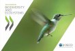 OECD Work on Biodiversity and Ecosystems - 2014