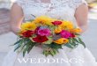Tallahassee Wedding Photographer - Liz Coderre Photography