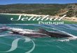 Turismo 2015 / Setúbal - Portugal