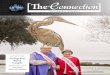 The Connection - A Eustis Chamber Magazine - Febuary 2015