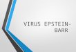 Virus de epstein BARR