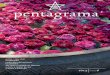Revista Pentagrama ano 35 numero 6 (Pt-Br)