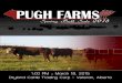 2015 Pugh Farms Spring Bull Sale
