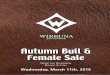 Wirruna Autumn 2015 Bull & Female Sale