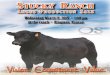Stucky Ranch - 2015 Angus Production Sale