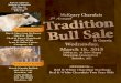 Tradition bull sale 2015 feb3