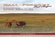 2015 Hall-Pokorny Red Angus Production Sale