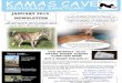 Kama's Cave Greyhound Sanctuary Jan 2015 newsletter