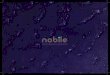 Catálogo Nobile 2015 (01)