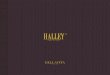 Halley bellavita