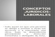 Conceptos Juridicos- Laborales