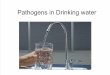 IMN-02-Pathogens in Water and Microbial Growth