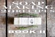 mba DIY Soap Making 20+ Organic, Natural, Gourmet Recipes (Book 2)