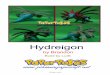 Hydreigon A4 Lineless