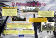 Presentación 1 El Palmeral