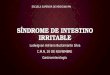 Síndrome de Intestino Irritable (SII)