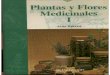 (PDF) Plantas y Flores Medicinales Con Foto