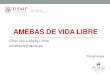 Teoría 3 -AMEBAS DE VIDA LIBRE. 2015