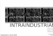 Comercio Interindustrial e Intraindustrial
