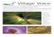 Village Voice edition 81