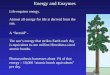 Energetics and Enzymes.ppt