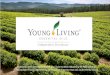 Young Living Introductory Presentation