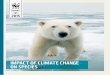 Impact of Climate Change on Species Wwf Report