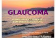 201109-glaucoma-ud-111115141342-phpapp01 - copia