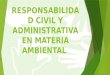 Responsabilidad Social y Administrativa en Cuestión Ambiental