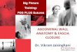 Abdominal Wall Anatomy & Fascia Closure_sept