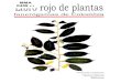 Libro Rojo Plantas de Colombia Vol 01