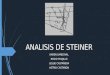 Analisis de Steiner
