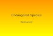 Endangered Species Biodiversity. Biodiversity: the number and variety of species on Earth - the number of species known to science is 1.6 million, most