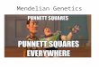 Mendelian Genetics. By the end of this class you should understand: The Mendelian model of genetics and Punnett squares How the structure and function
