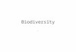 Biodiversity `. 1.What is biodiversity? 2. the variety of life in an area 2. 3 types of diversity 3. genetic diversity 4. the variety of genes available