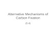 Alternative Mechanisms of Carbon Fixation (5.4). RuBisCO RuBisCO is the most abundant protein on Earth catalyzes the first reaction of the Calvin cycle