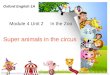 Module 4 Unit 2 In the Zoo Super animals in the circus Oxford English 1A