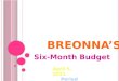 B REONNA ’ S Six-Month Budget April 5, 2011 Period 1