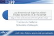 Low dimensional Edge-localised- modes dynamics in JET tokamak Edge-localised-modes characterization through data analysis Francisco A. Calderon University