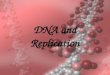 1 DNA and Replication. Rosalind Franklin 2 3 Chargaff’s Rule Adenine ThymineAdenine must pair with Thymine Guanine CytosineGuanine must pair with Cytosine