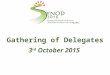 Gathering of Delegates 3 rd October 2015. Listening & Discernment Data Coding & Analysis Identifying Themes Selecting Synod Themes February to June Questionnaires,