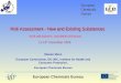 JOINT RESEARCH CENTRE EUROPEAN COMMISSION European Chemicals Bureau Risk Assessment - New and Existing Substances Risk Assessment - New and Existing Substances